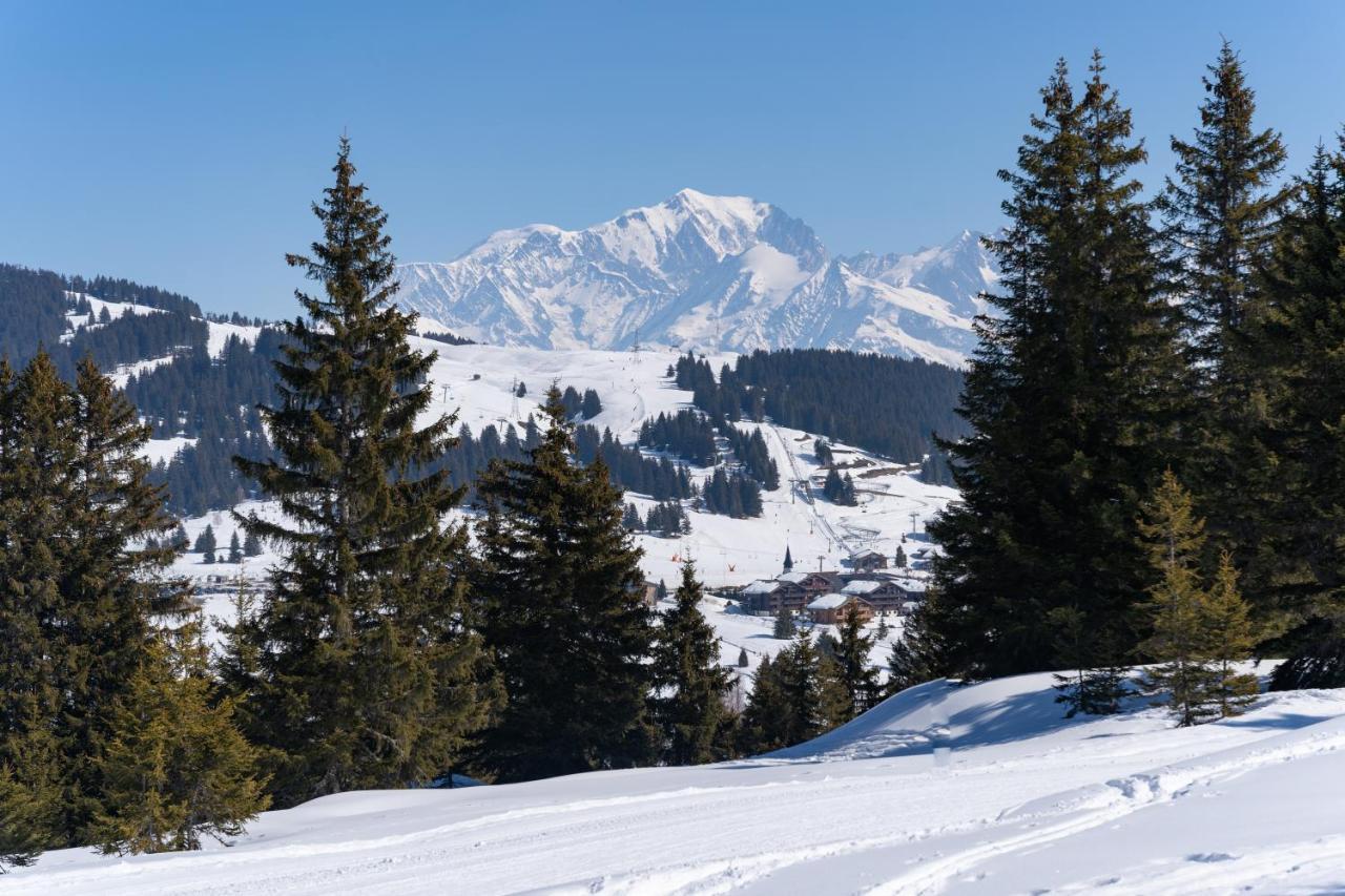 Les Saisies Appart 1 Chambre Au Pied Des Pistes Exterior photo