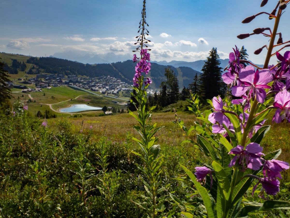 Les Saisies Appart 1 Chambre Au Pied Des Pistes Exterior photo
